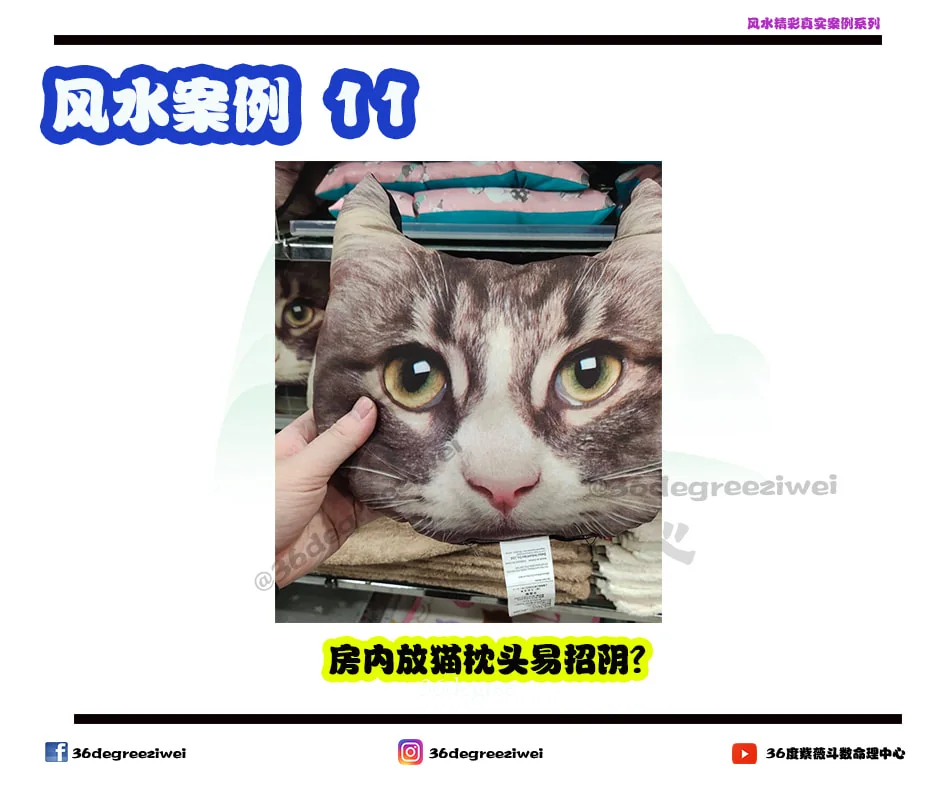 【风水真实案例 - 房内放猫枕头易招阴?】