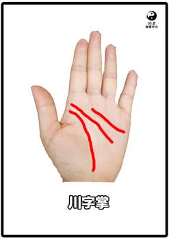 【掌纹小教学系列 - 两秒教你装逼断事】