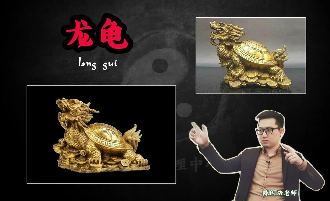 【风水科普 Did you know? - 四瑞兽之三:龙龟】【龙头龟又为成功、富贵、发达之象征】