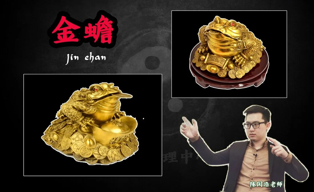 风水科普 Did you know? - 四瑞兽之二:金蟾】【金蟾分为嘴含钱和不含钱?】
